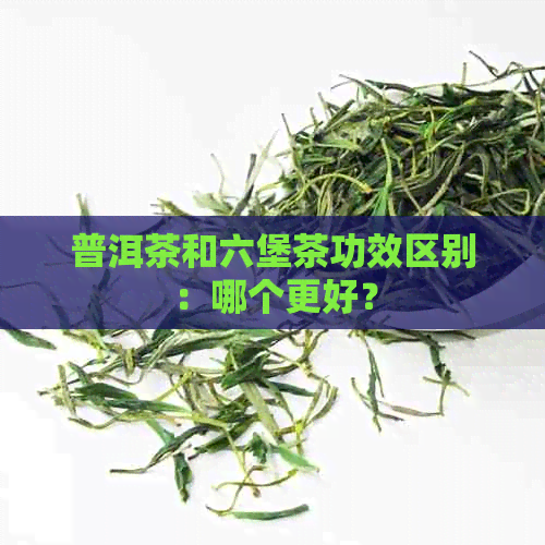 普洱茶和六堡茶功效区别：哪个更好？