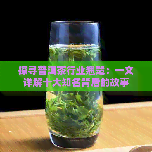 探寻普洱茶行业翘楚：一文详解十大知名背后的故事