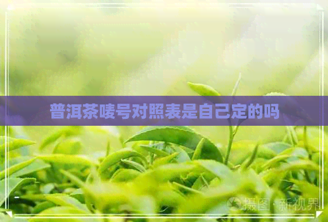 普洱茶唛号对照表是自己定的吗