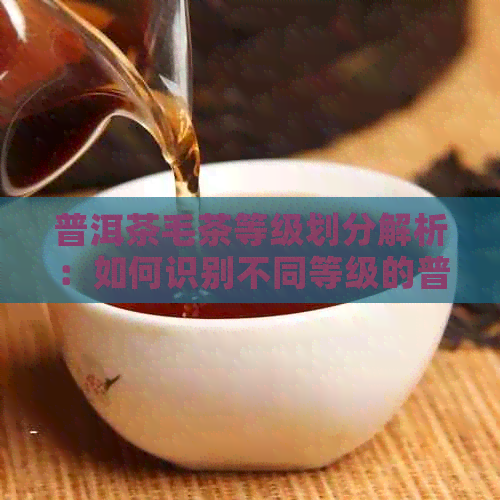 普洱茶毛茶等级划分解析：如何识别不同等级的普洱茶叶？