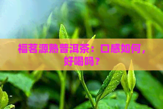 福茗源熟普洱茶：口感如何，好喝吗？