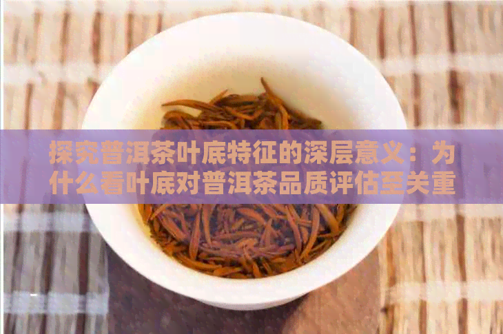 探究普洱茶叶底特征的深层意义：为什么看叶底对普洱茶品质评估至关重要