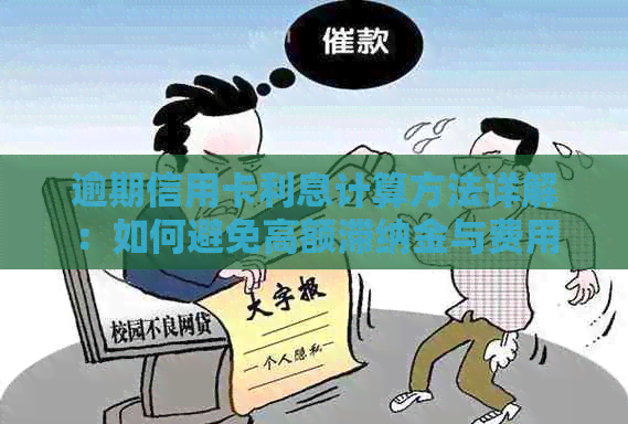 逾期信用卡利息计算方法详解：如何避免高额滞纳金与费用