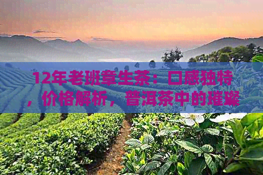 12年老班章生茶：口感独特，价格解析，普洱茶中的璀璨明珠