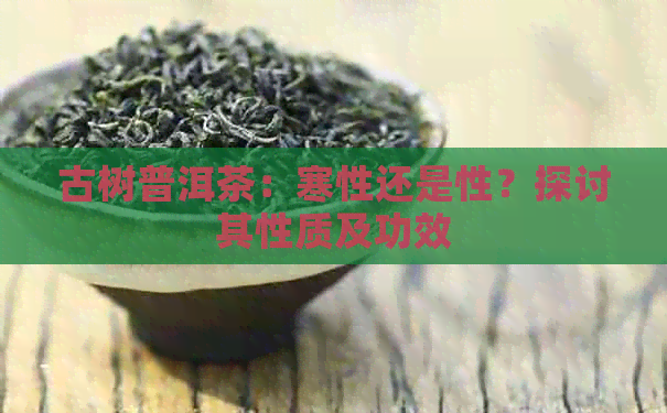 古树普洱茶：寒性还是性？探讨其性质及功效