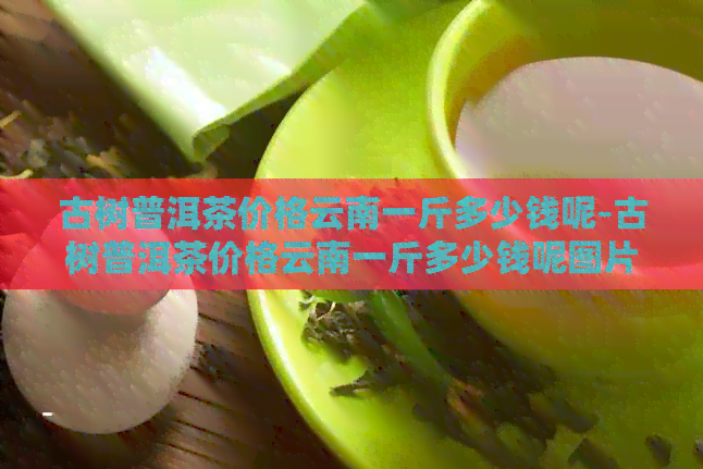 古树普洱茶价格云南一斤多少钱呢-古树普洱茶价格云南一斤多少钱呢图片