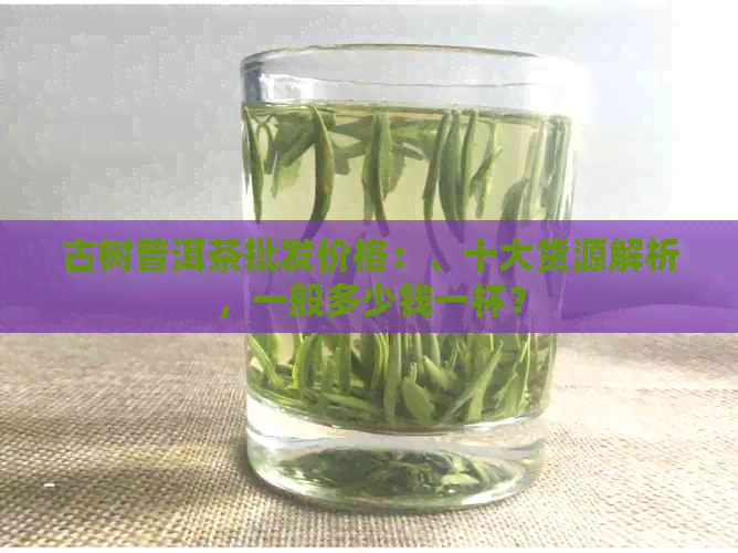 古树普洱茶批发价格：、十大货源解析，一般多少钱一杯？