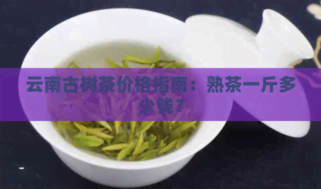 云南古树茶价格指南：熟茶一斤多少钱？