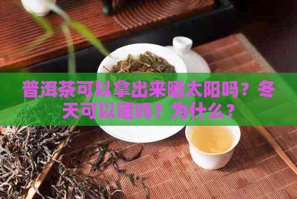 普洱茶可以拿出来晒太阳吗？冬天可以晒吗？为什么？