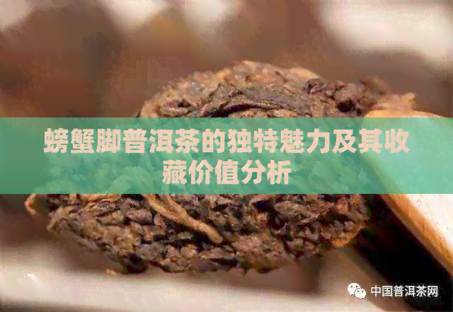 螃蟹脚普洱茶的独特魅力及其收藏价值分析