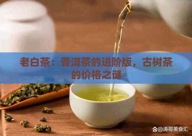 老白茶：普洱茶的进阶版，古树茶的价格之谜