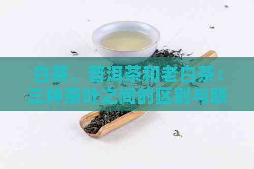 白茶、普洱茶和老白茶：三种茶叶之间的区别与联系详解