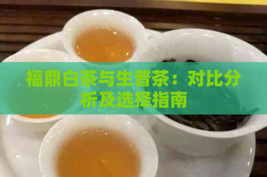 福鼎白茶与生普茶：对比分析及选择指南