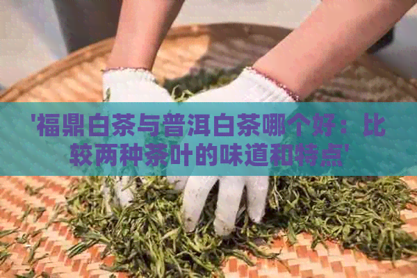 '福鼎白茶与普洱白茶哪个好：比较两种茶叶的味道和特点'