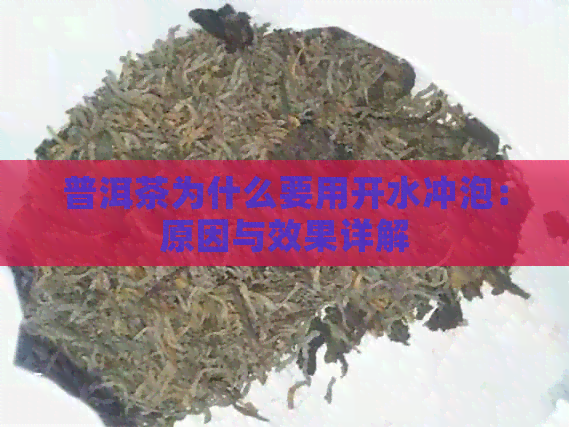 普洱茶为什么要用开水冲泡：原因与效果详解