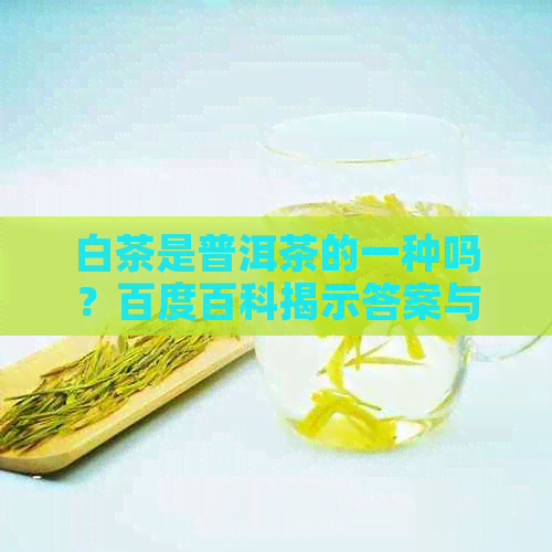 白茶是普洱茶的一种吗？百度百科揭示答案与对比两者档次高低。