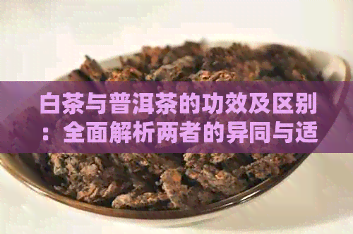 白茶与普洱茶的功效及区别：全面解析两者的异同与适用场景