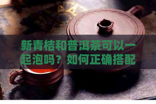 新青桔和普洱茶可以一起泡吗？如何正确搭配以达到口感？