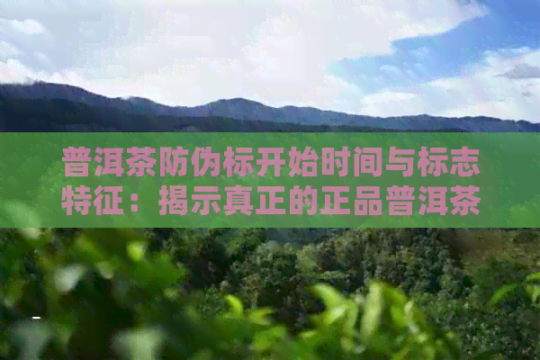 普洱茶防伪标开始时间与标志特征：揭示真正的正品普洱茶防伪标志是什么