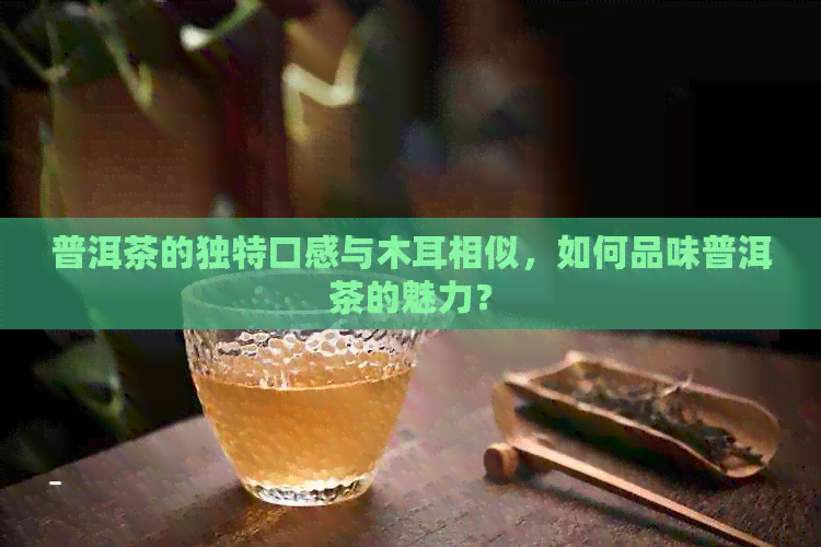 普洱茶的独特口感与木耳相似，如何品味普洱茶的魅力？