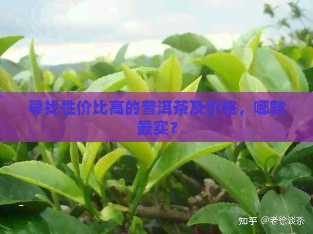 寻找性价比高的普洱茶及价格，哪款最实？