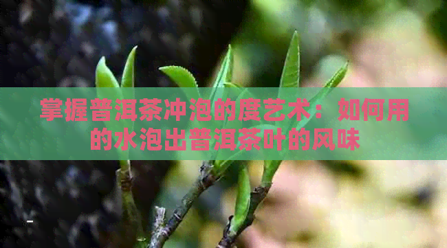 掌握普洱茶冲泡的度艺术：如何用的水泡出普洱茶叶的风味