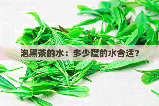 泡黑茶的水：多少度的水合适？