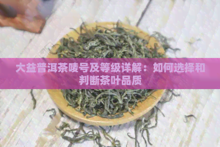 大益普洱茶唛号及等级详解：如何选择和判断茶叶品质