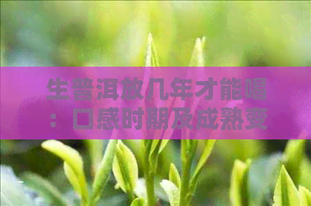 生普洱放几年才能喝：口感时期及成熟变化探讨