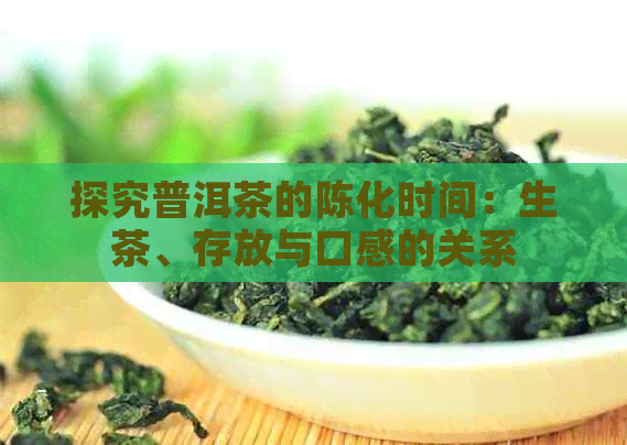 探究普洱茶的陈化时间：生茶、存放与口感的关系