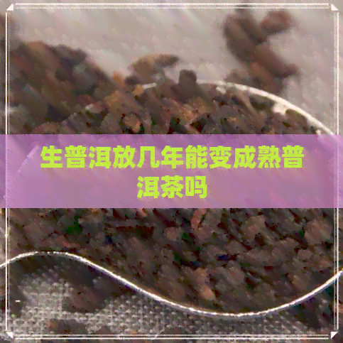 生普洱放几年能变成熟普洱茶吗