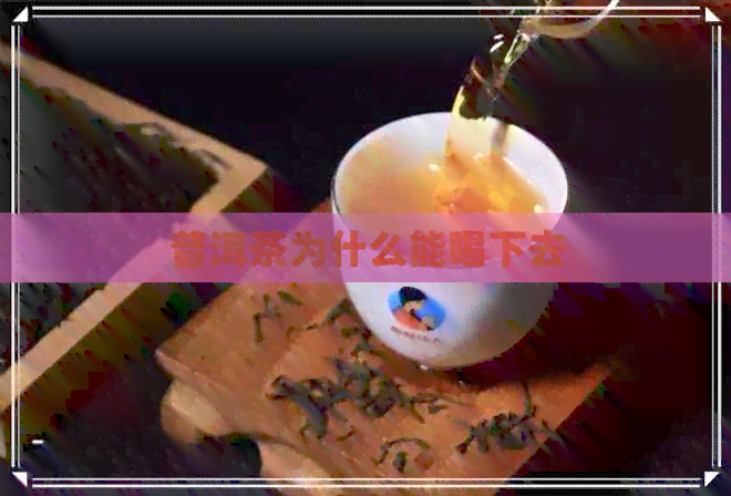 普洱茶为什么能喝下去