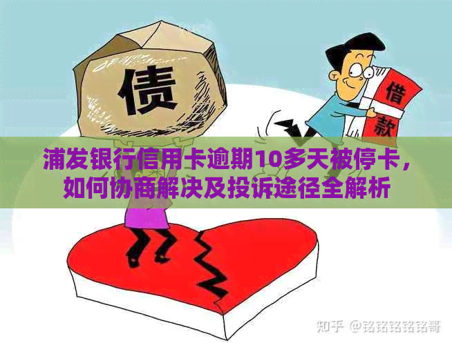 浦发银行信用卡逾期10多天被停卡，如何协商解决及投诉途径全解析