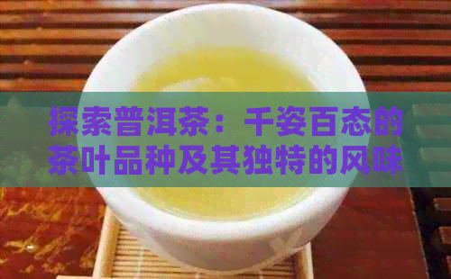 探索普洱茶：千姿百态的茶叶品种及其独特的风味特点