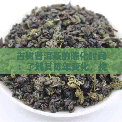 古树普洱茶的陈化时间：了解其陈年变化，找到最适合您的年份