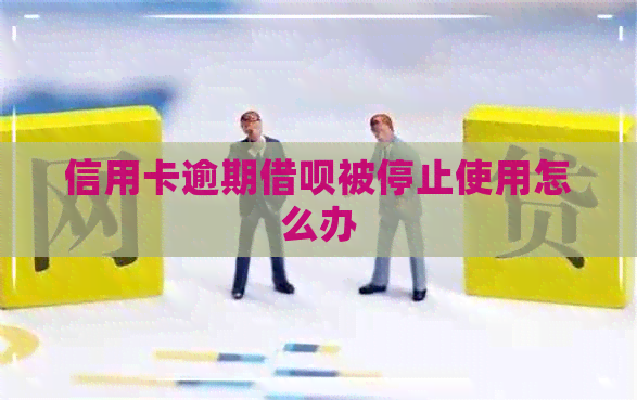 信用卡逾期借呗被停止使用怎么办