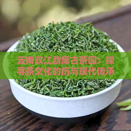 云南双江勐库古茶园：探寻茶文化的历与现代传承