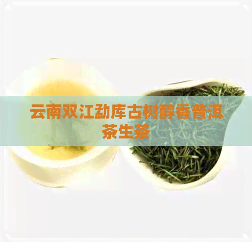 云南双江勐库古树醇香普洱茶生茶