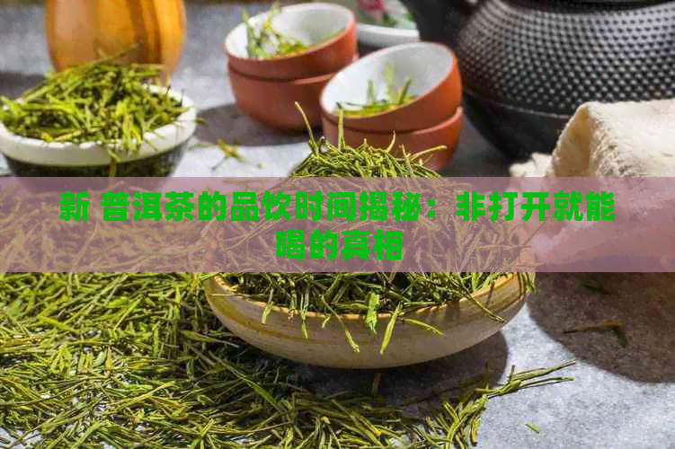 新 普洱茶的品饮时间揭秘：非打开就能喝的真相