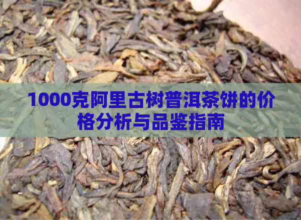 1000克阿里古树普洱茶饼的价格分析与品鉴指南