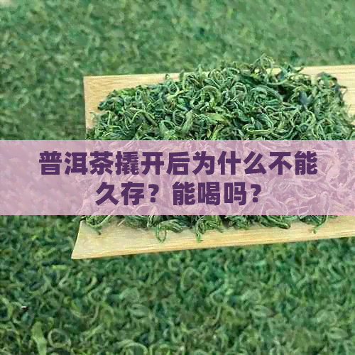 普洱茶撬开后为什么不能久存？能喝吗？