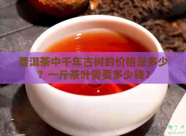 普洱茶中千年古树的价格是多少？一斤茶叶需要多少钱？