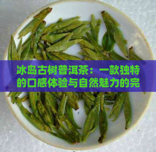 冰岛古树普洱茶：一款独特的口感体验与自然魅力的完美结合