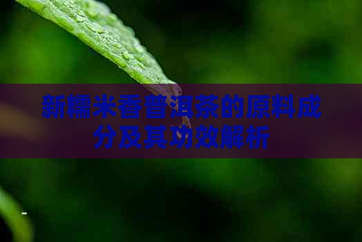 新糯米香普洱茶的原料成分及其功效解析