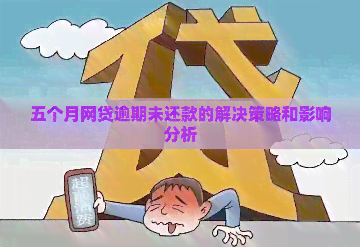 五个月网贷逾期未还款的解决策略和影响分析