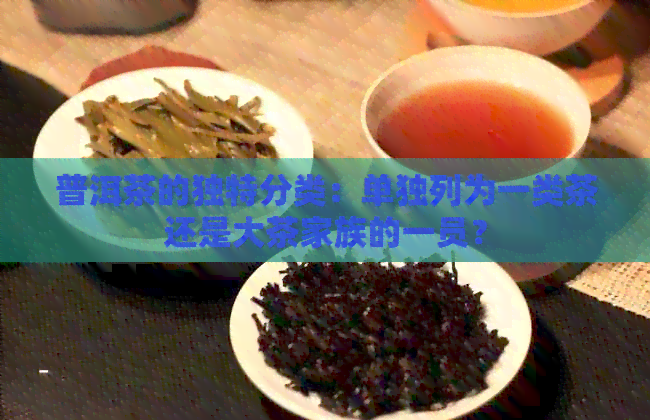 普洱茶的独特分类：单独列为一类茶还是大茶家族的一员？