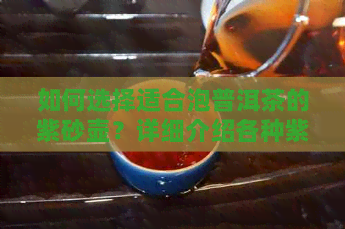 如何选择适合泡普洱茶的紫砂壶？详细介绍各种紫砂壶的特点与泡茶效果对比