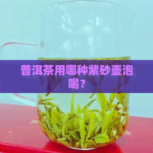 普洱茶用哪种紫砂壶泡喝？