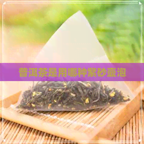 普洱茶是用哪种紫砂壶泡