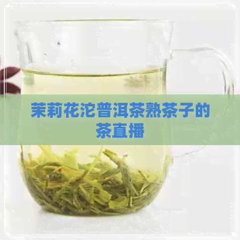 茉莉花沱普洱茶熟茶子的茶直播